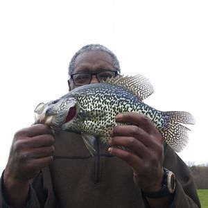 Meet your Posher, Reginald